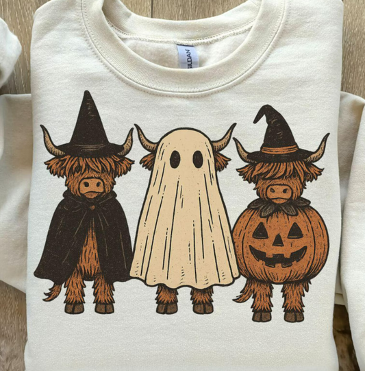 Highland Spooky Cows